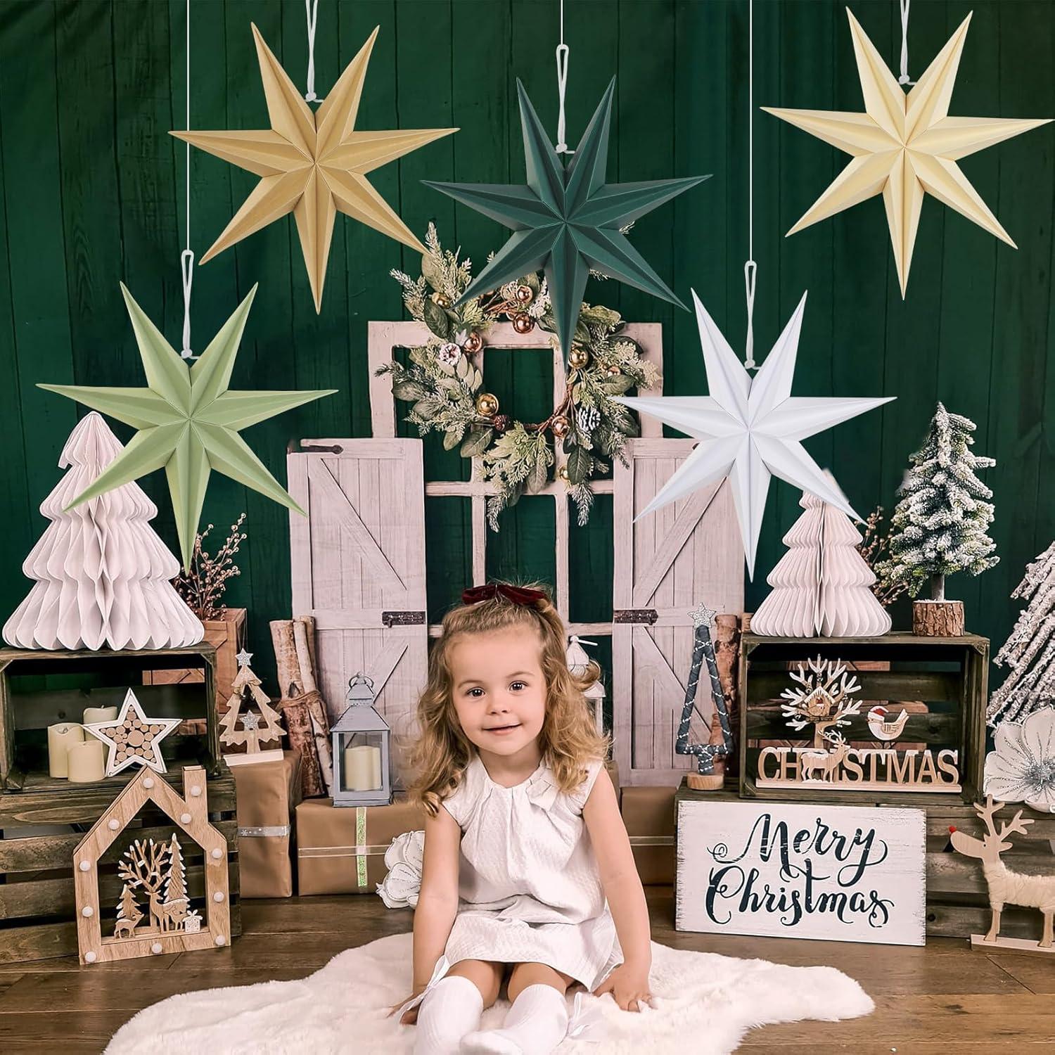 imageSUNBEAUTY 3 Pcs 12Pointed Paper Star Brown Grey White Lanterns 12 Inch Christmas Hanging Lamp Shade Wedding Birthday Christmas Home Party DecorationsGrayish Green