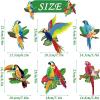 SUNBEAUTY 6 Pieces Tropical Birds Honeycomb Paper Cutouts Hawaiian Tropical Parrot Toucan Honeycomb Luau Summer Party Hanging Decorations for Beach Tiki Bar Party Decor Classroom Home Supplies