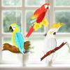 SUNBEAUTY Summer Luau Party Tropical Birds Parrot Honeycomb Beach Hawaiian Party Classroom Hanging Decorations Red White Blue 3 Pieces Parrot