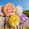 SUNBEAUTY Sunflower Tissue Paper Flowers Giant Paper Flowers Decoration for Wall 19” Large Yellow Floral Tissue Pom Poms Hanging for Wedding Bridal Shower Birthday Classroom Bulletin Board Decor(Purple yellow pink cream White-20”)
