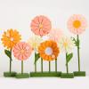 Pink Orange Daisy
