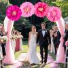 SUNBEAUTY 6 Pcs Large Boho Tissue Paper Flowers 12” Giant Crepe Paper Flowers Decorations for Birthday Mexican Fiesta Spring Wedding Flower Backdrop Baby Bridal Shower Carnival Party Wall Decor(Pink)