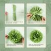 SUNBEAUTY 6 Pcs Large Boho Tissue Paper Flowers 12” Giant Crepe Paper Flowers Decorations for Birthday Mexican Fiesta Spring Wedding Flower Backdrop Baby Bridal Shower Carnival Party Wall Decor(Sage Green)