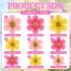 SUNBEAUTY Hanging Paper Fans Colorful Daisy Party Decoration Set Paper Flower Decorations for Wall Paper Fans Reusable Flower Wall Decor for Birthday Fiesta Mexican Party Babyshower Mothers Day(Gold Flower)