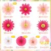 SUNBEAUTY14PCS Pastel Paper Fans Party Decoration Paper Flowers Decorations for Wall Hanging Paper Flowers Floral Backdrop Flower Garland for Birthday Baby Shower Spring Decor Classroom Decorations(Pink Fans – 000)
