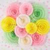 SUNBEAUTY14PCS Pastel Paper Fans Party Decoration Paper Flowers Decorations for Wall Hanging Paper Flowers Floral Backdrop Flower Garland for Birthday Baby Shower Spring Decor Classroom Decorations(Macarons Set – 11)