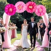 SUNBEAUTY Large Paper Flowers Giant Fiesta Tissue Paper Flowers Decorations for Wall 12 Inch Colorful Mexican Flowers for Summer Birthday Wedding Backdrop Bridal Shower Tropical Luau Carnival Party(Pink)