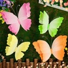 Gradient Colors 4