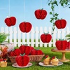 SUNBEAUTY 12 Pcs Red Apple Paper Honeycomb Hanging Decoration Apple Decorations for Classroom Back to School Decoration Teacher Appreciation Decorations 3D Paper Apple Honeycomb Table Decor(4.7 Inch)(Red Apple Honeycomb-12pcs)